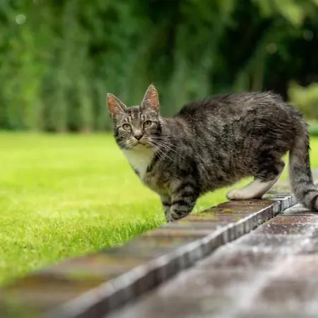 Friesenwind - Hochwertige Mit Gartenoase *