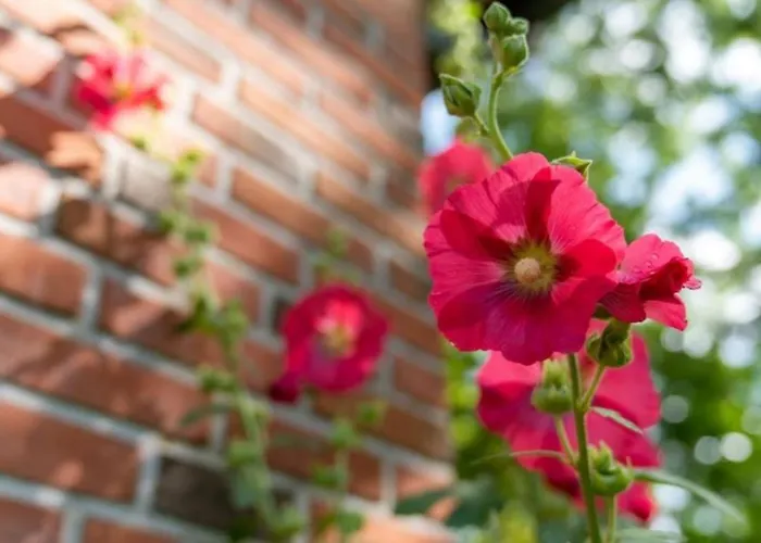 Daire Friesenwind - Hochwertige Mit Gartenoase Utarp