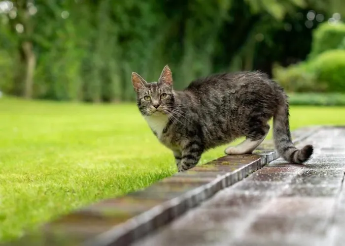 Friesenwind - Hochwertige Mit Gartenoase *