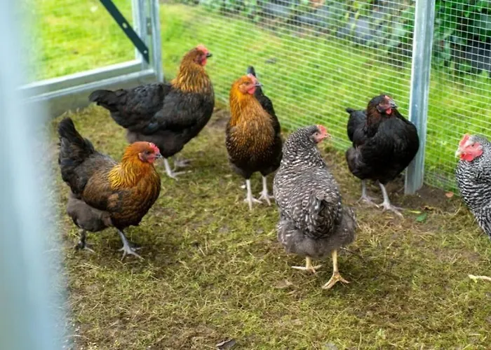 Friesenwind - Hochwertige Mit Gartenoase Utarp